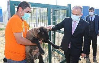 Çaresizlik Bursa Büyükşehir’le umuda dönüşüyor