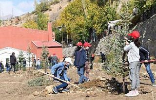 Çatak’ta fidan dikim