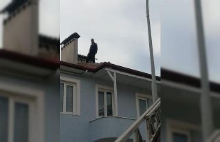 Çatıda mahsur kalan kediyi itfaiye ekipleri kurtardı