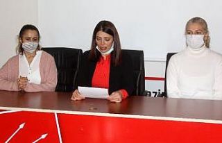 CHP Erzincan Kadın Kolları’ndan Kadına Yönelik...