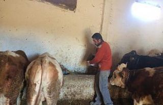 Çiftçiler girdi maliyetlerinin düşmesini bekliyor