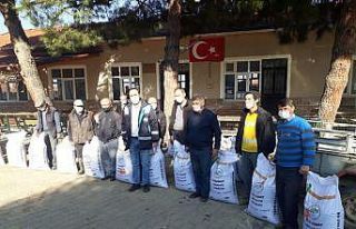Çiftçilere ücretsiz Macar fiği tohumu dağıtıldı