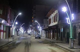 Cizre Belediyesi, caddeleri süslemeye devam ediyor