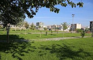 Cizre’de park yapım çalışmaları