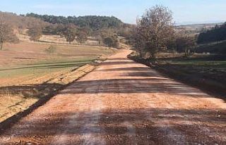 Çokçapınar ile Erenköy yolu stabilize bakım çalışmasına...