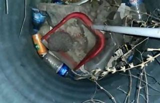 Çukura düşen kirpiyi esnaf kurtardı