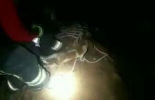 Çukura düşen köpeği itfaiye ekipleri kurtardı