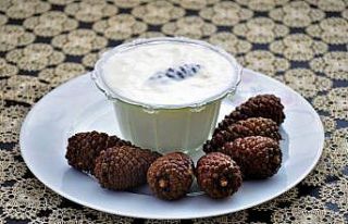 Dağdan topladığı çam kozalaklarıyla yoğurt...