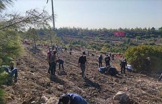 Datça’da 2 bin fidan toprakla buluştu