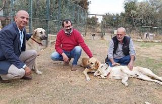 Datça’da can dostlara anlamlı bağış