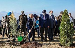 Denizli’de 31 bin 900 fidan toprakla buluşuyor