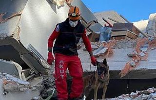 Depremin kahraman köpeği Bob’un ismi Kuşadası’nda...