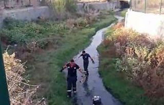 Dereye düşen yavru köpeği itfaiye kurtardı
