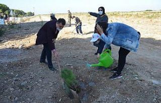Didim’de ağaçlandırma seferberliğine destek...