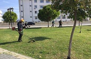 Didim’de parkların bakımı devam ediyor