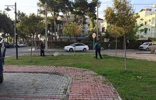 Didim’de yeşil alanlarda bakım çalışmaları...
