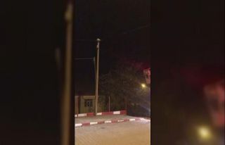 Direkte mahsur kalan kedinin yardımına itfaiye koştu