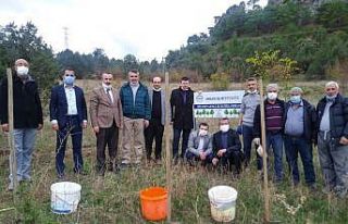 Diyanet gençlik hatıra ormanına 45 fidan dikildi