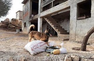 Diyarbakır’da terörün finans kaynağına darbe