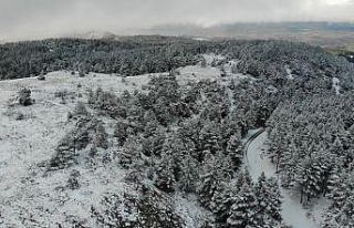Doğu Anadolu’da 5 ilde kar bekleniyor