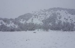 Doğu Anadolu’da kar yağışı