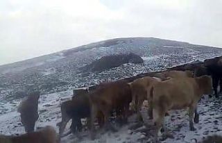 Doğu’da yüksek kesimlerde kar yağışı etkili...