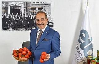 Domates ürün grubunda sene sonu hedefi 650 milyon...