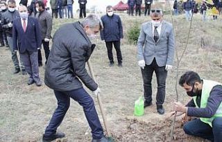 DPÜ’de 2 bin 53 fidan Hatay için toprakla buluştu