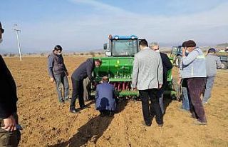 Dumlupınar’da Macar Fiğ Tohumu yetiştirme çalışmaları