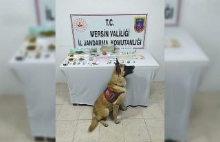 "Dünya" uyuşturucuları tek tek buldu