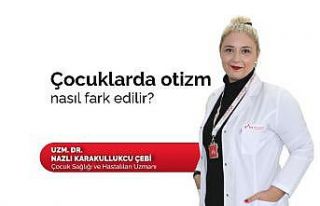 Dünyada her 59 çocuktan biri otizmli