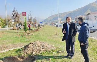Düzce D-100’de peyzaj düzenlemesi sürüyor