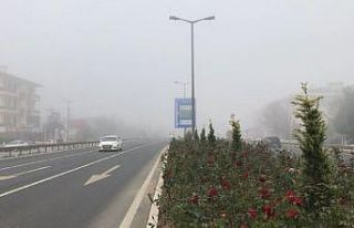 Düzce güne sisle uyandı