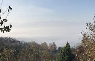 Düzce sis denizine döndü