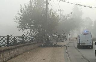 Düzce’de görüş mesafesi 10 metreye kadar düştü