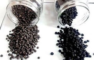 “Edirne kırmızısı” için önemli bir bilimsel...