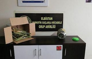 Ekinözü’nde uyuşturucu operasyonu