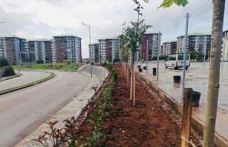 Ekipler yeşil Körfez için çalışmalarını sürdürüyor