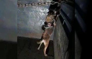Elazığ’da 41 kilo 750 gram eroin ele geçirildi