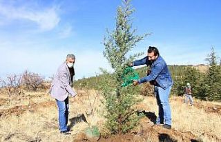 Elazığ’da eğitimciler fidan dikti