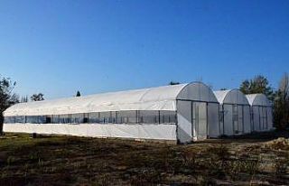 Emet Belediyesi kendi fidan ve çiçeğini üretecek