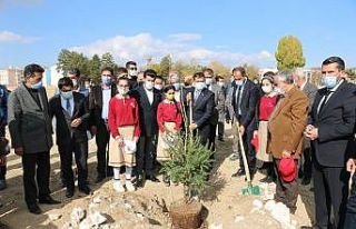 Erciş’te fidan dikimi