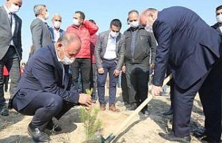 Ereğli Belediyesi binlerce fidanı toprakla buluşturdu