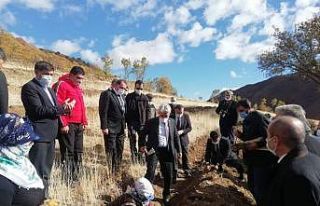 Erzincan’da Bal Ormanı kuruldu