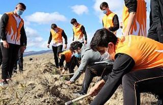 Erzincan’da binlerce fidan toprakla buluştu