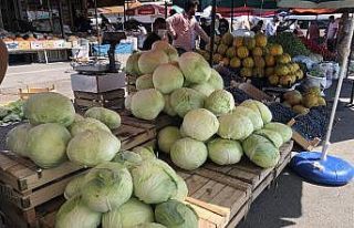 Erzincan’da kışın habercisi “Lahana” tezgahlarda...