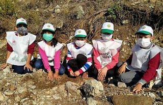 Erzin’de çam fidanları toprakla buluştu