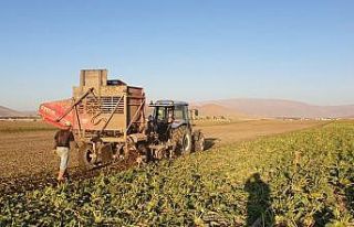 Erzurum, Erzincan ve Ağrı’da sulama sezonu tamamlandı