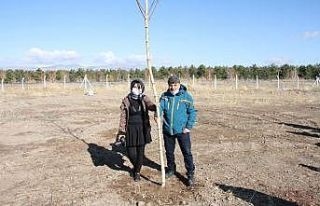 Erzurum GSİM bin fidan dikti