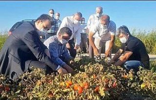 Esgin’den çifçiye ödeme müjdesi